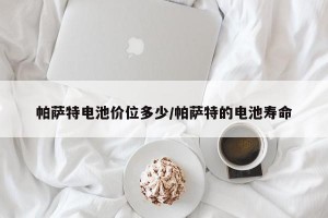 帕萨特电池价位多少/帕萨特的电池寿命