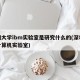 深圳大学ibm实验室是研究什么的(深圳大学计算机实验室)